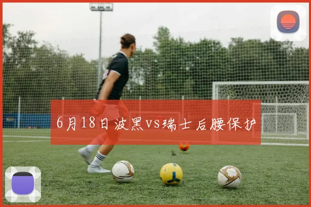 6月18日波黑vs瑞士后腰保护